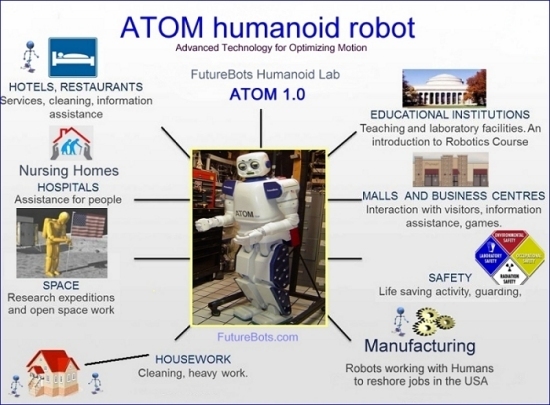 introduction to humanoid robotics